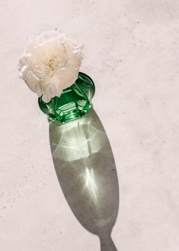 Green glass bottle with peony in it and its shadow casted on concrete surface