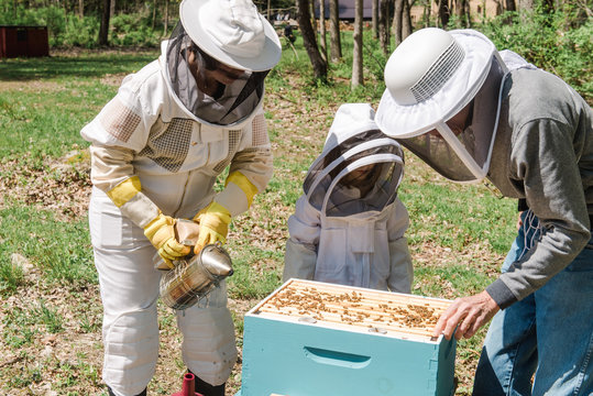 family checking on their beehive
