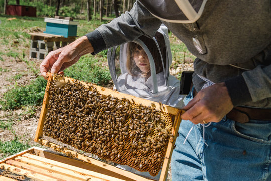 little girl observing her grandad taking care of the beehive