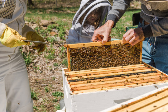 little girl observing her grandad taking care of the beehive