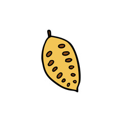 cocoa bean doodle icon, vector illustration