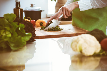 Unknown human hands cooking in kitchen. Woman is busy with vegetable salad. Healthy meal, and vegetarian food concept