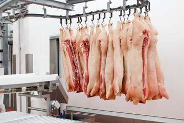 A much of chopped fresh raw pork meat hanging and arranged in row, in processing deposit in a refrigerator, in a meat factory.