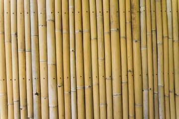 bamboo background texture