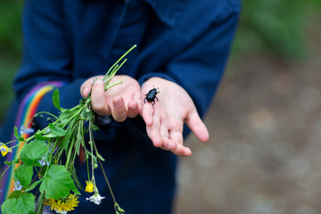 girl and beetle on her hand