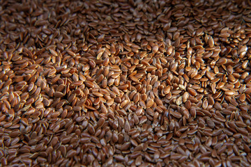Linum seeds on a dark textured background