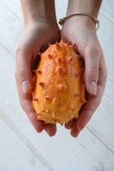 Exotic fruit Cucumis metuliferus. African cucumber in the hands of a girl. Closeup, soft focus