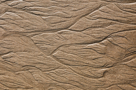 Detail Of Beach Sand