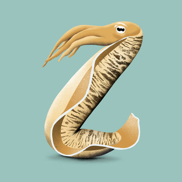 Cuttlefish - Z
