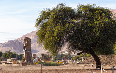 Colossi of Memnon are two massive stone statues Pharaoh Amenhotep III, who reigned in Egypt during...