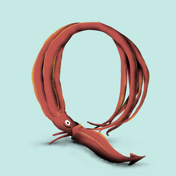 Squid - Q