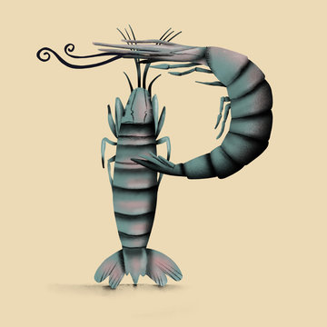 Shrimp - P
