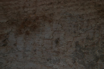 Wood Texture abstract