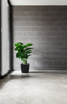 Block wall and plant