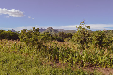 Stunning african scenery, green landscapes with mountains of different shapes, corn fields, lush grass, exotic trees on the road to Dedza in Malawi, Africa. Green tourism. Soft light clouds