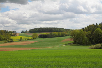 landschaft