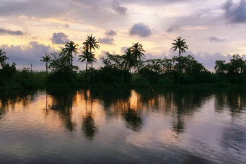 Fototapeta na wymiar Backwaters in a Boathouse in Kumarakom, Kerala, India.