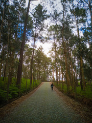 Fototapeta premium Mid age woman walking alone in the shadow