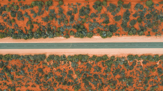 road leading through bushland
