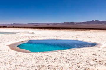 Hidden lagoon Baltinache (Lagunas escondidas Baltinache) Atacama Desert, Chile © marabelo