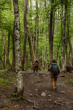A hiking couple walking along in the mountain forest