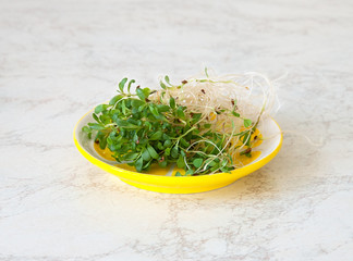 Fresh microgreen on plate