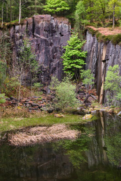 Colourful rock wall in Dalt Quarry. Borrowdale, Cumbria, UK.