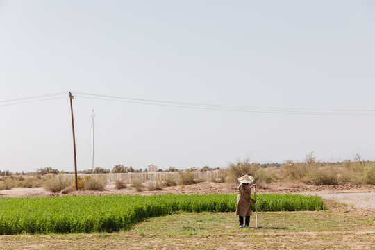 Woman cultivating her field