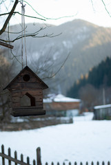 bird house in winter