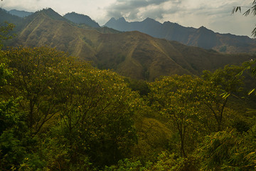 mountains in the morning