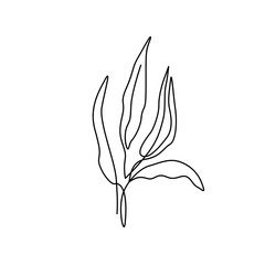 Beautiful plant in minimal line style. Modern fashion linear leaves for logo, emblem template. Vector illustration