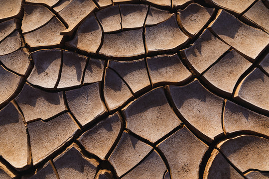Dry Mad In The Desert