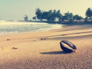 playa relajante 