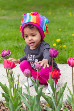 Toddler girl in rainbow coloured hat examining a garden of beautiful tulips.