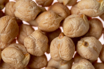 close up de garbanzos de fuentesaúco