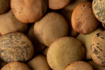 close up de lentejas con iluminación de estudio