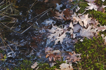 Spring and winter collide.