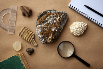 Stone samples at geological laboratory. Geology rock laboratory. Laboratory for analysis of geological soil materials, stones, minerals, rocks samples for researchers and students. Brushing samples.