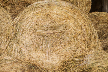 Dry hay forage for animals