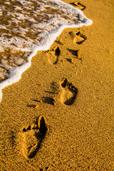 Summer. On the sandy seashore, there are human footprints.