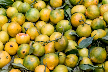 Gelbe reife sizilianische Zirtrusfrüchte auf einem  lokalen Markt verkauft