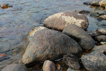 The autumn forest is painted with Golden colors