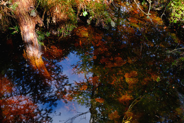 Abstract reflections #4 - Nostalgia