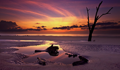 Hunting Island State Park