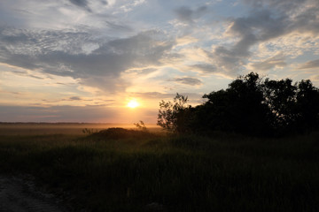 Fototapeta na wymiar Beautiful sunset in the field. Cloudy sky. Landscape.