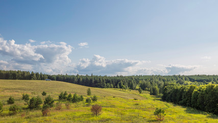 Obraz premium rare trees in a valley between hills with mowed grass