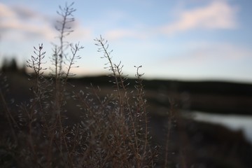 sunset on the river in Yellowstone National Park 