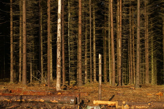 KalamitätBilder StockFotos & Videos. Adobe Stock