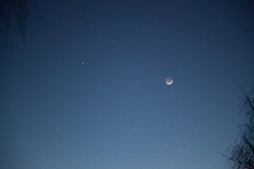 Moon and Venus