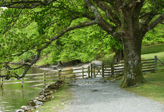 Footpath along the shore of Buttermere. Cumbria, UK.